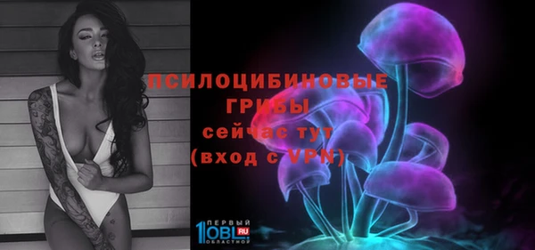 a pvp Билибино